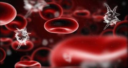 platelets count low