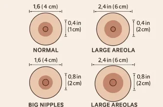 Illustration comparing normal and enlarged nipple and areola sizes to show what’s medically considered within the normal range.