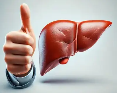 Liver Health