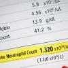 Close-up of complete blood count report highlighting absolute neutrophil count value used for clinical immune status assessment