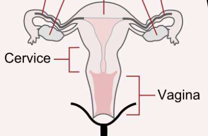 Vaginal pain during early pregnancy