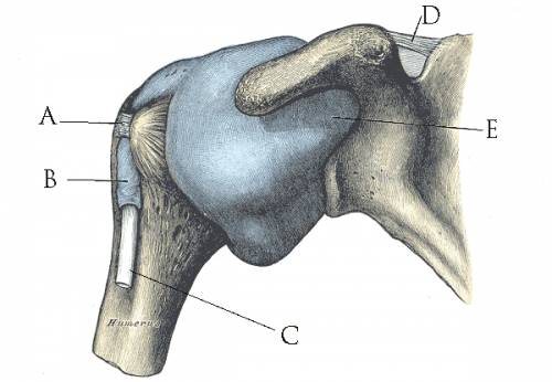 why-does-shoulder-hurt-after-sleeping-iytmed