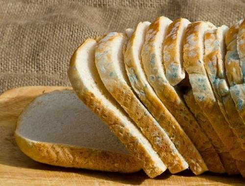 What Happens If You Accidentally Eat Moldy Bread 