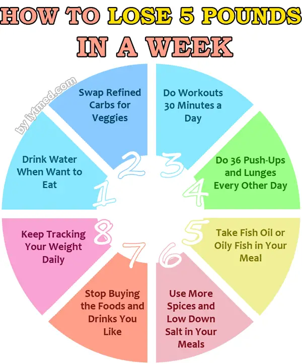 Weight Loss Infographic