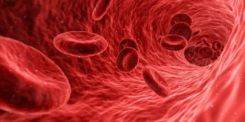 Inside the body when blood leaks from blood vessels or organs