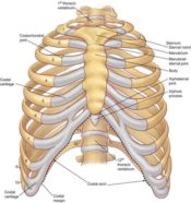 What Makes Costochondritis Worse? - IYTmed.com