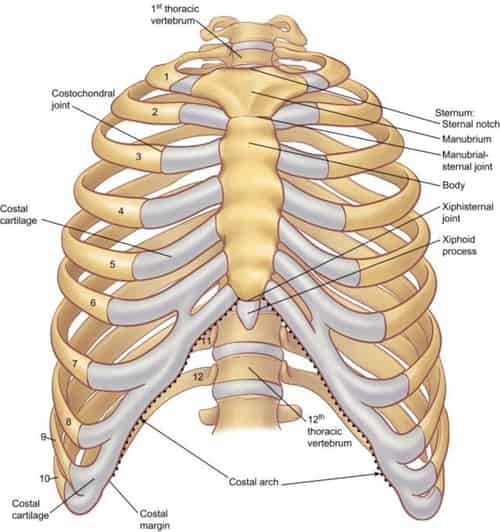 Preventing Costochondritis from getting worse