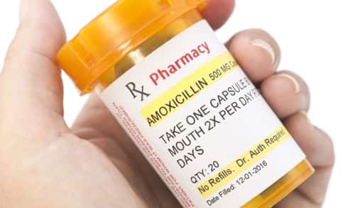 how long to take amoxicillin for bladder infection