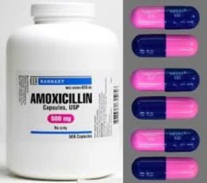 79_Amoxicillin-300x265.jpg