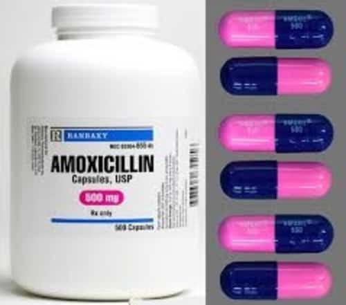 Amoxicillin 500mg in capsules to treat UTI