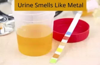Metallic odor from the urine