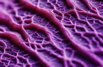 Purple blood vessels