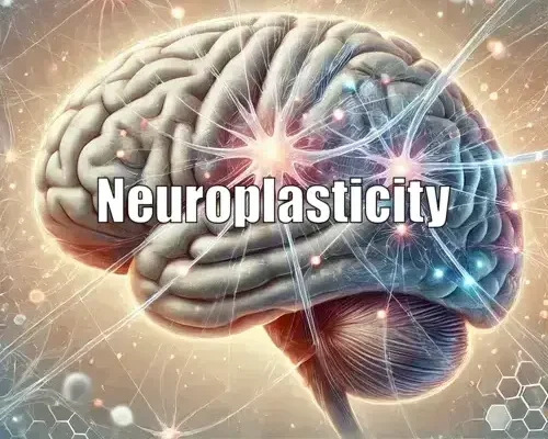 Neuroplasticity